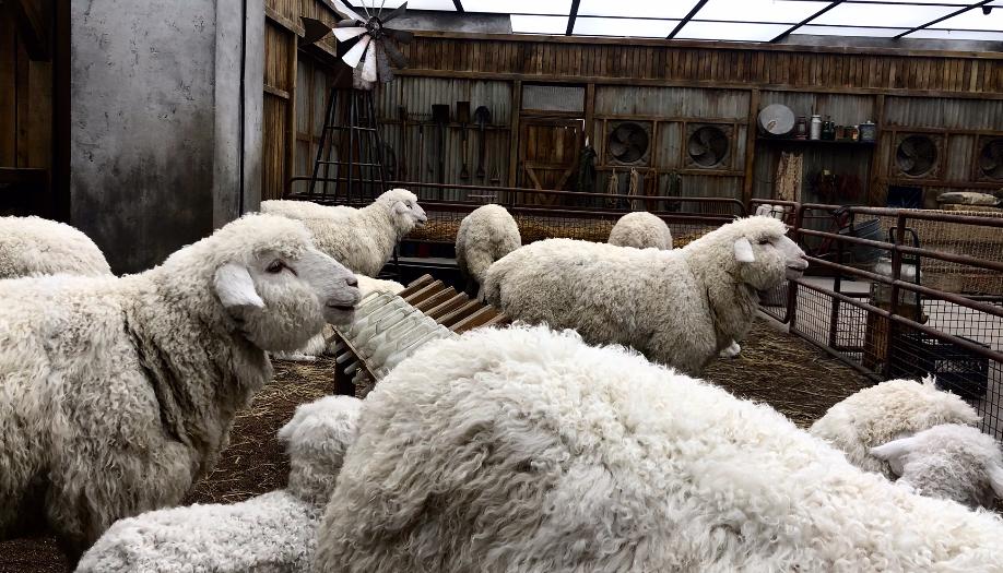 去skp买东西不给小票,北京skp-s不花钱能逛吗