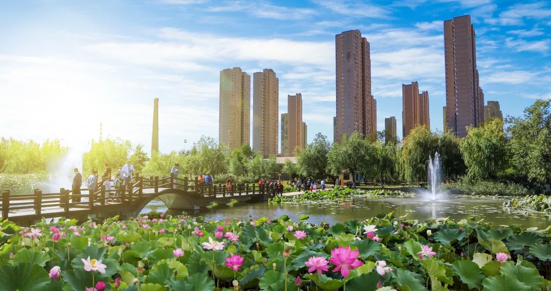 游荷塘生态旅游区攻略,风景优美天然氧吧旅游的好去处