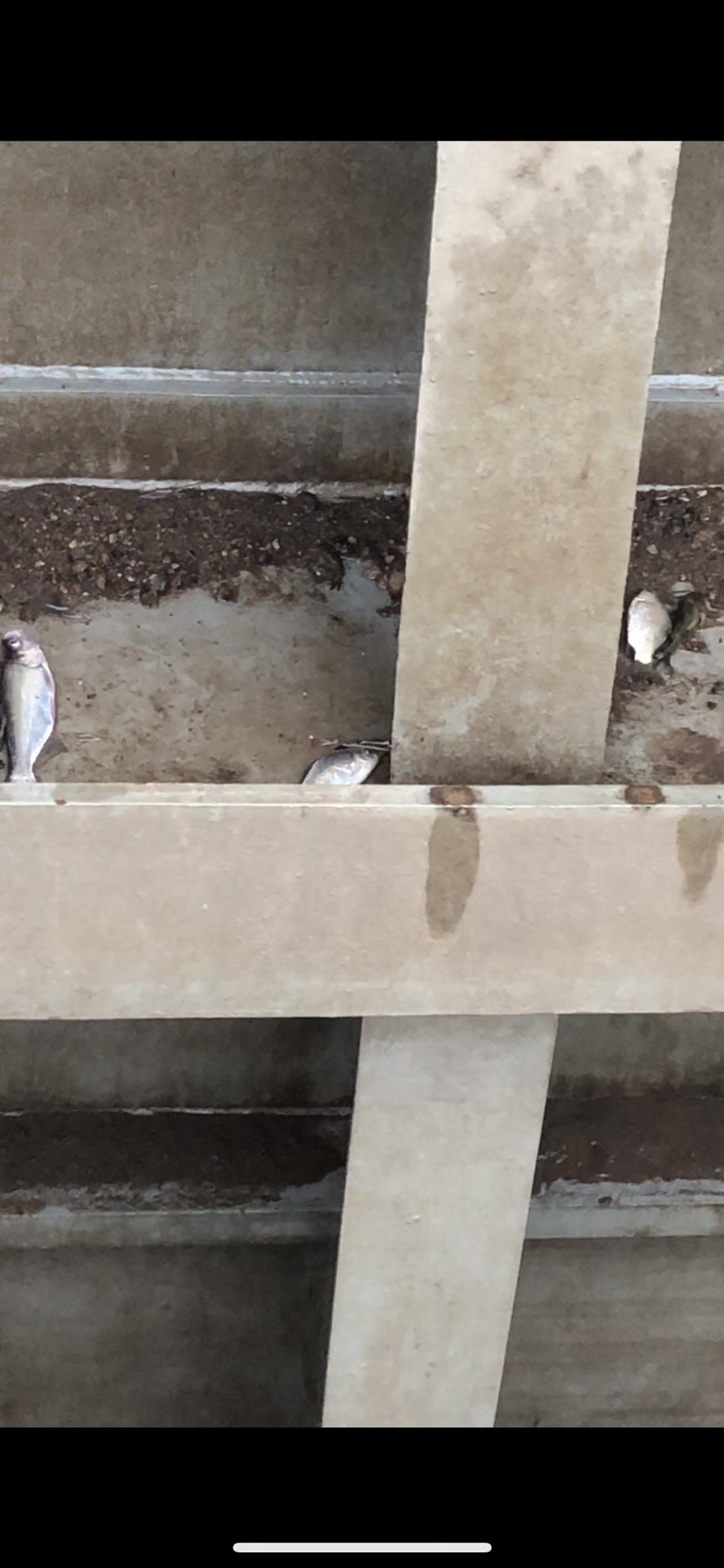 大风大浪钓大鱼完全视频,大风大浪钓大鱼是真的吗