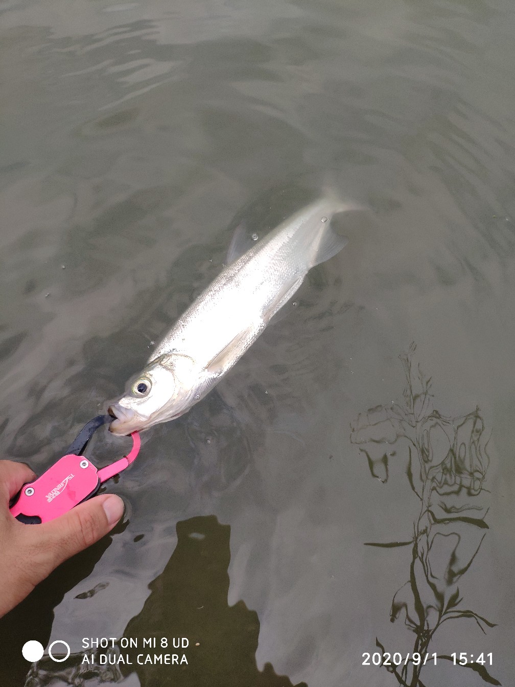 路亚铅头钩实用操作手法,路亚铅头钩零基础教学