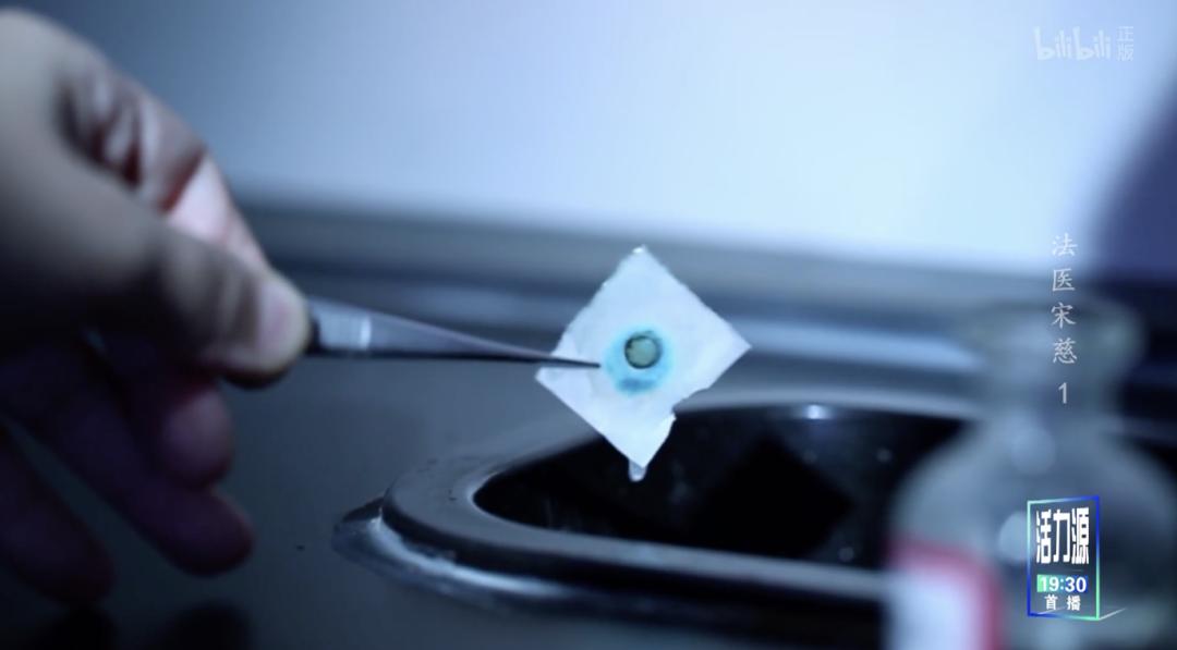 大宋法医宋慈纪录片,法医宋慈类似纪录片