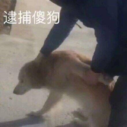 打游戏的零食有哪些,玩游戏最合适吃什么零食
