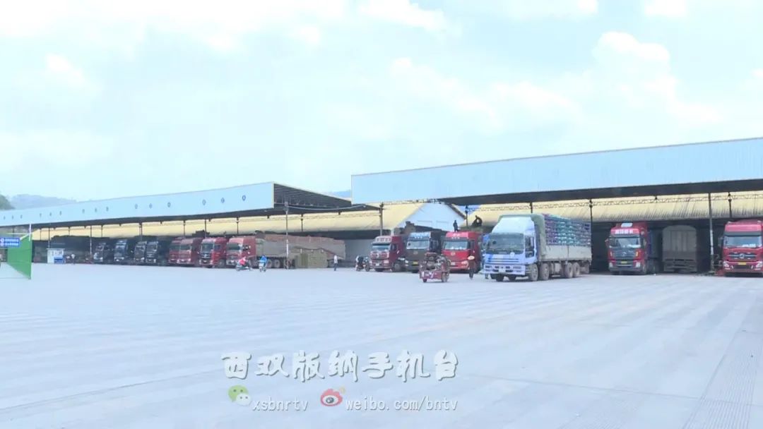 水果出口贸易现状,磨憨口岸外贸出口总额