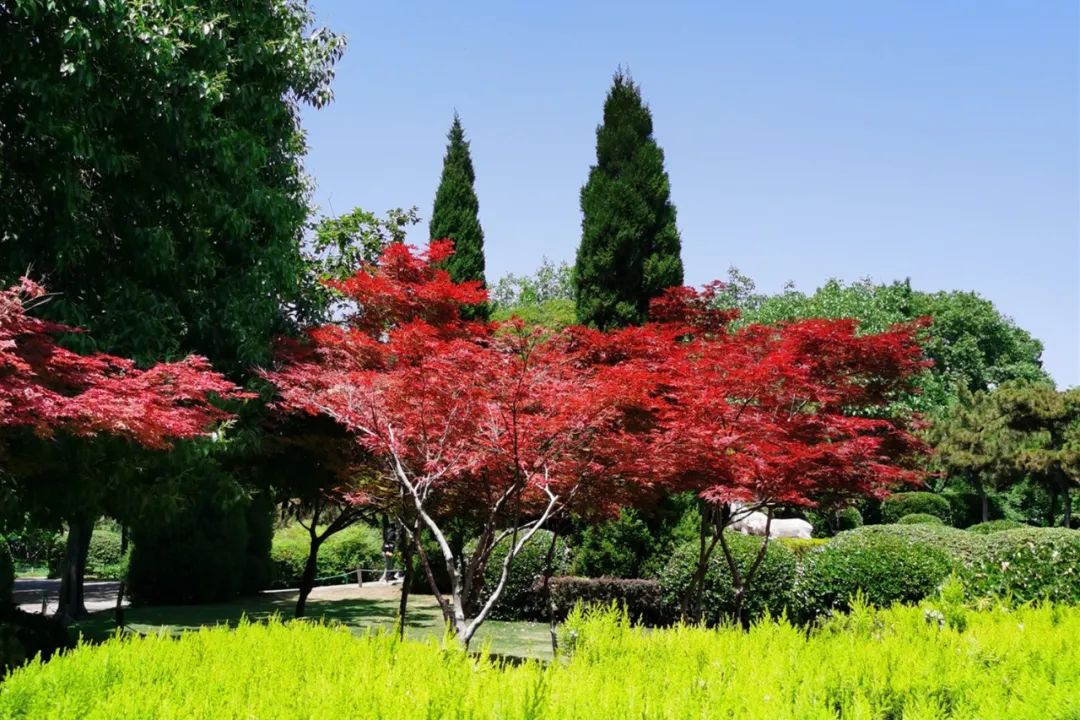 19岁男孩高处坠落死里逃生,19岁男孩做手术断送性命