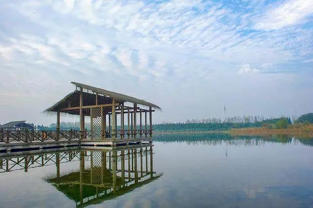 谢蟹有你肉蟹煲优惠券,谢谢有你完全视频