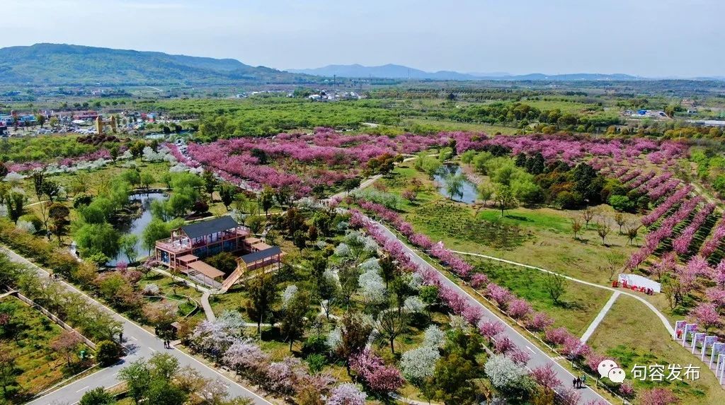 小句调查|在希望的田野上探寻小康“密码”
