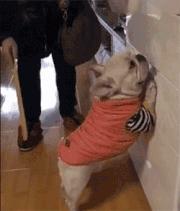 行家支招挑食孩子饮食,纠正孩子挑食偏食营养师有技巧