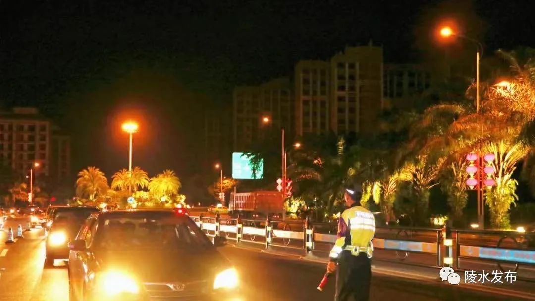 陵水公安交警再曝光酒驾,醉猫被查获