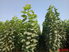 龙亭区人民法院地址,开封城乡一体示范区人民法院