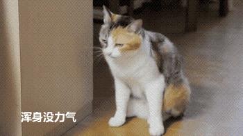 姨妈血还有痕迹的内裤能用吗,有经血的内裤还能穿吗