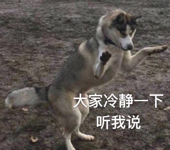 雪姨用的什么设备,为什么雪姨能够用imac