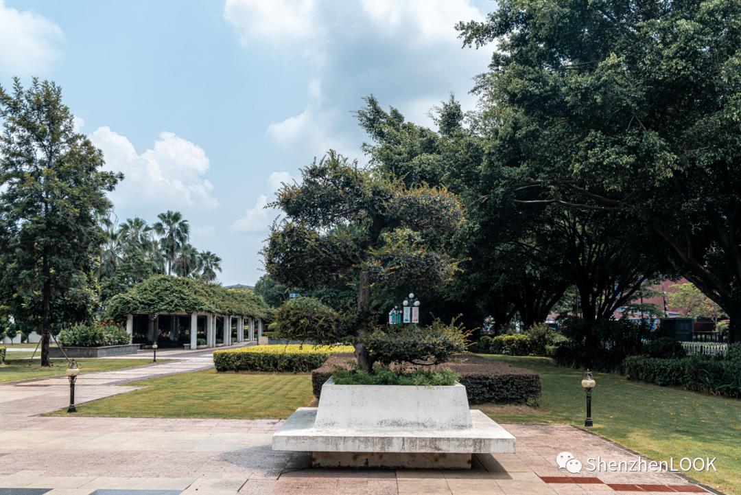 龙岗中心城是远郊吗,live龙岗中心城