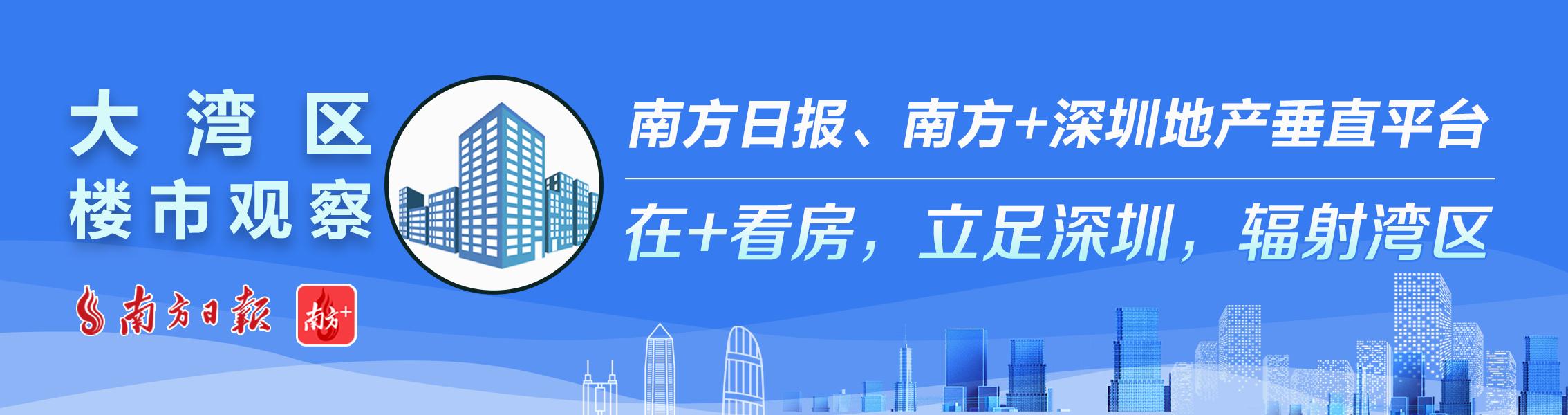最近深圳宝安有哪些新楼盘开盘,宝安新桥新楼盘什么时候开盘的