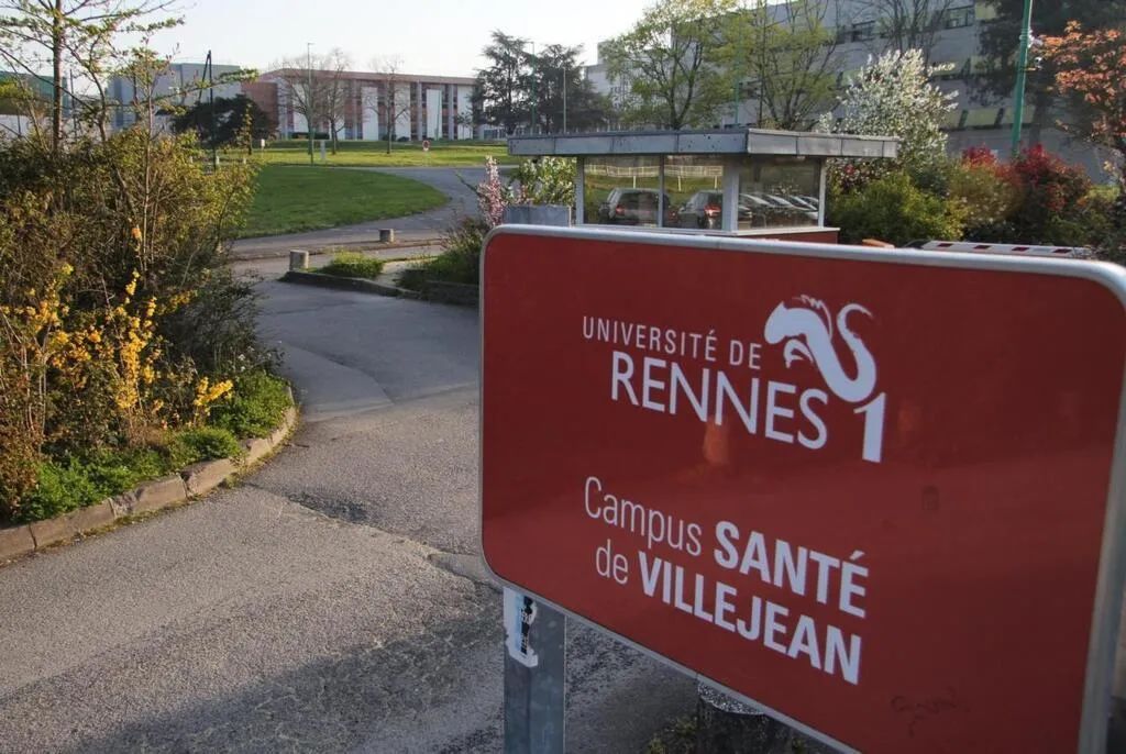 巴黎禁酒令最新消息 (巴黎宣布禁止入境吗)