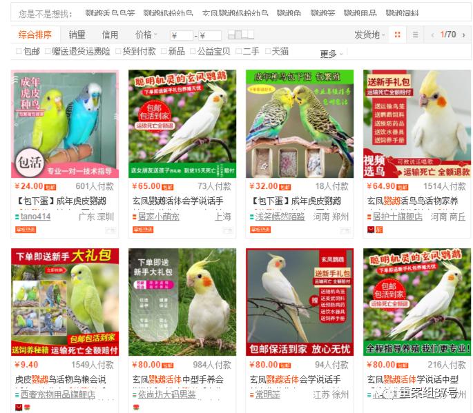 电商能卖活体宠物吗,电商能够卖活体宠物吗