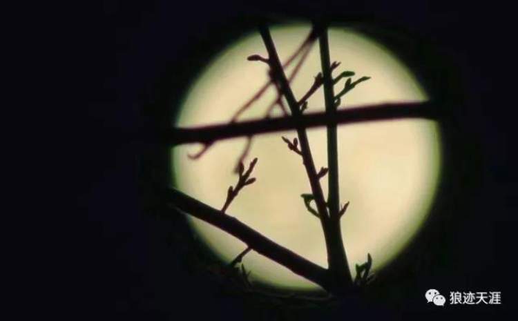 为什么八月十五是中秋节,八月十五中秋节回娘家过