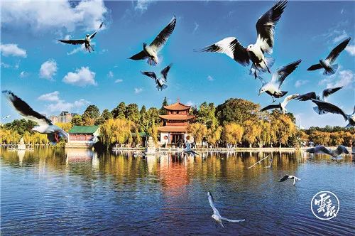 昆明假期出行攻略,假期去昆明玩的攻略