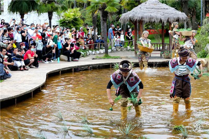 昆明假期出行攻略,假期去昆明玩的攻略