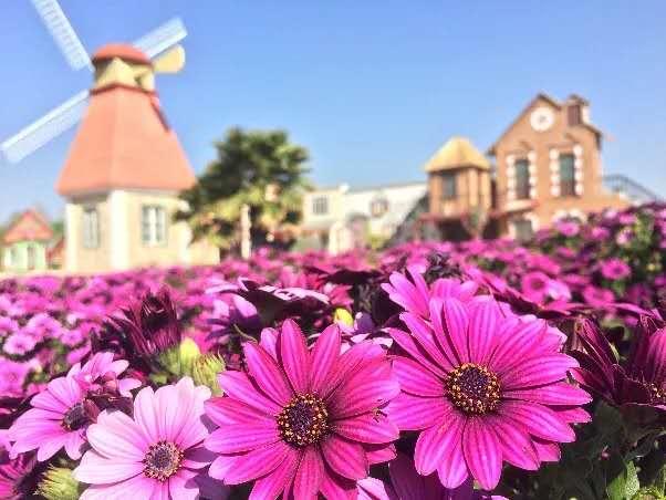 昆明假期出行攻略,假期去昆明玩的攻略