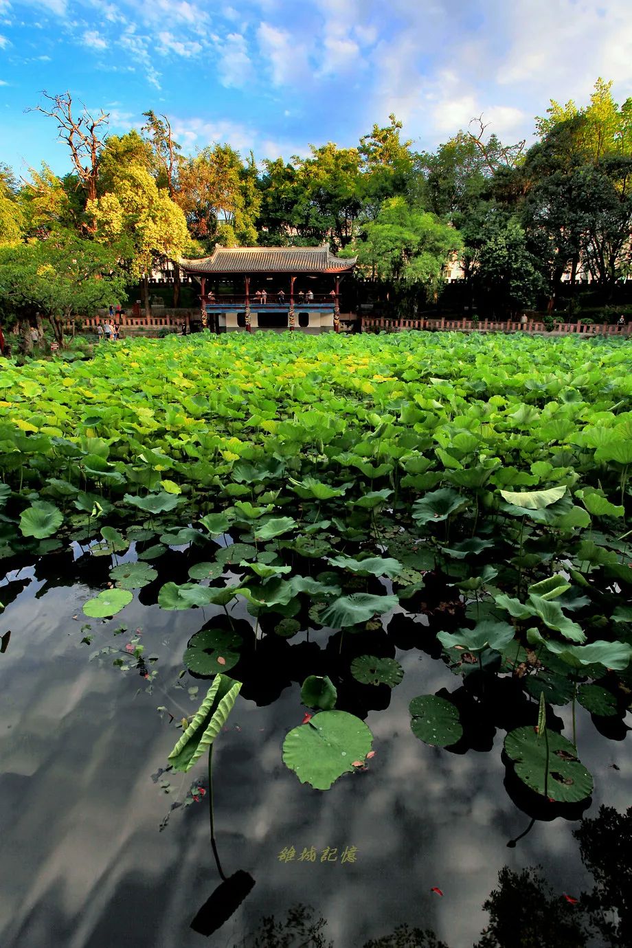 广汉哪里有好吃的地方,广汉有什么好吃的推荐