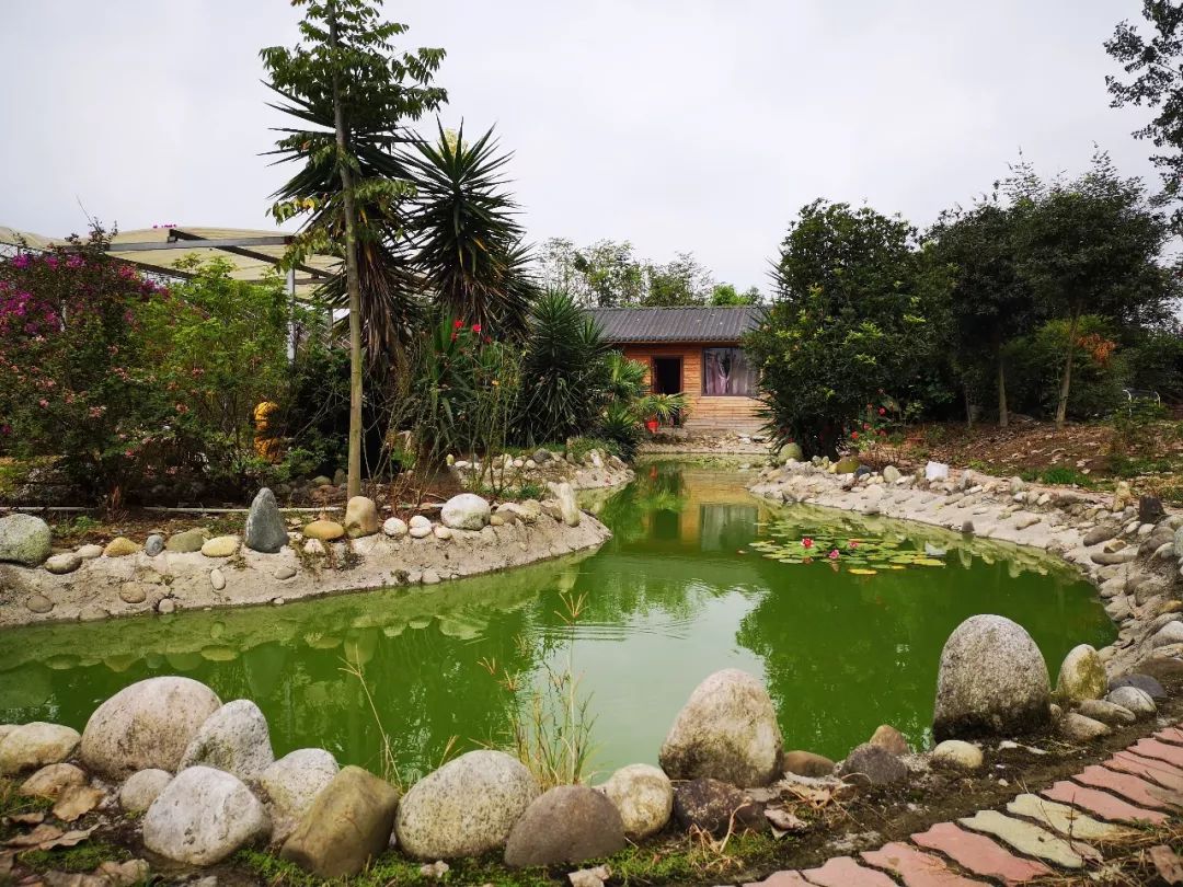 广汉哪里有好吃的地方,广汉有什么好吃的推荐