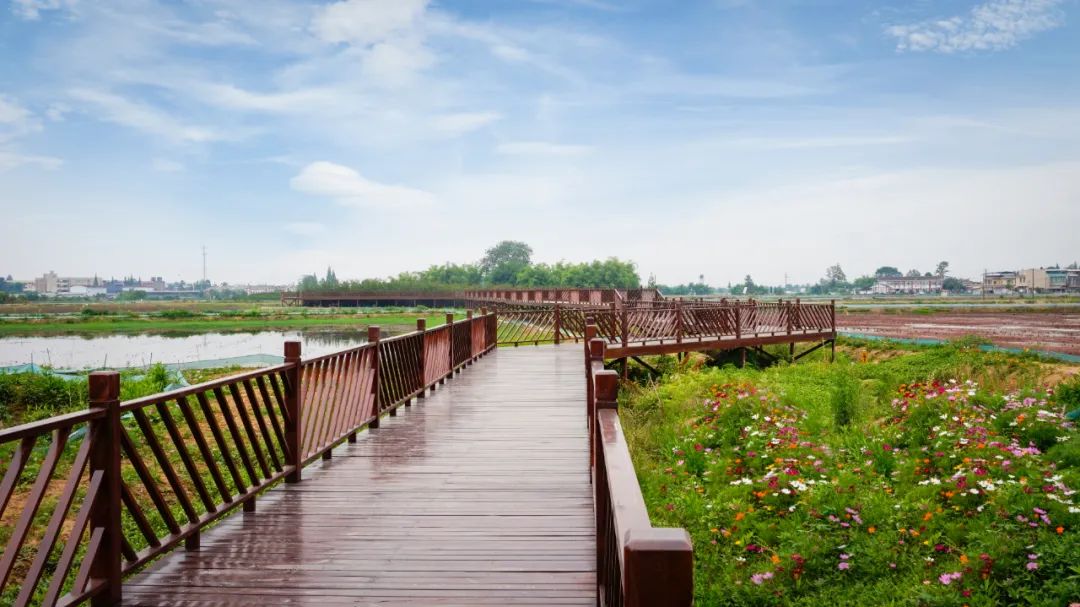 广汉哪里有好吃的地方,广汉有什么好吃的推荐