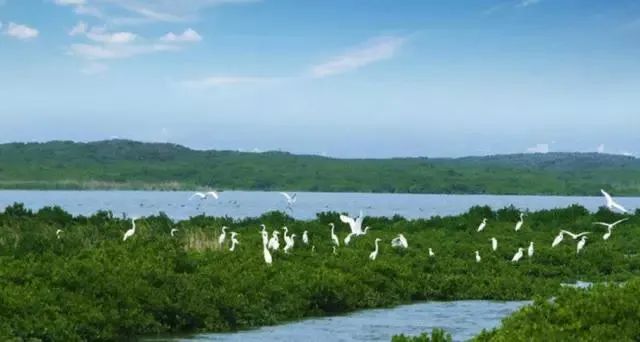 国庆逗阵行第五站｜秋风送爽，“开漳圣地”欢迎您