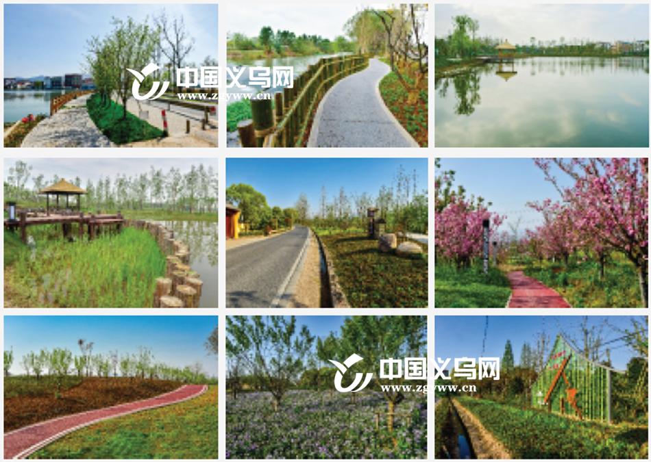 特色小镇、轻轨站、文化村……义乌这个镇有点“甜”！