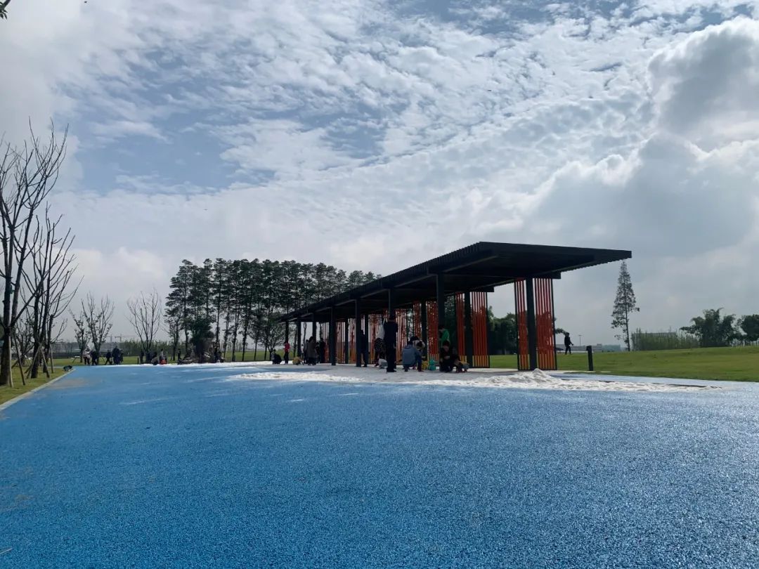 双流运动公园网红,双流运动公园网红打卡地