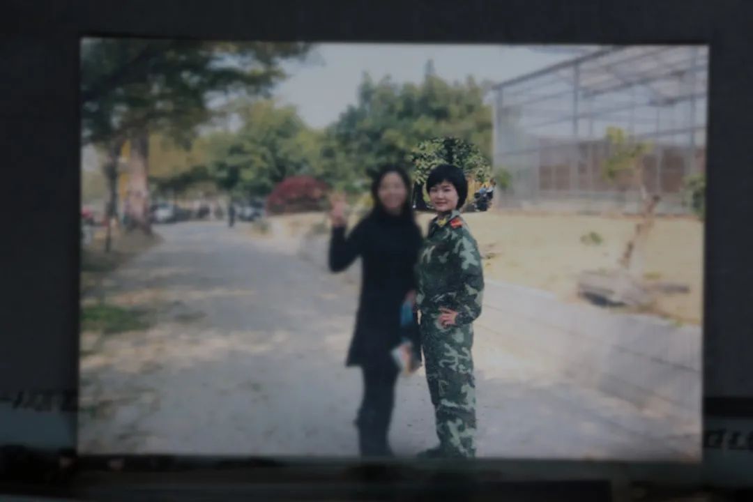 从退役女兵到企业老总，再到村*党**总支部书记，她如何开始新的征程？