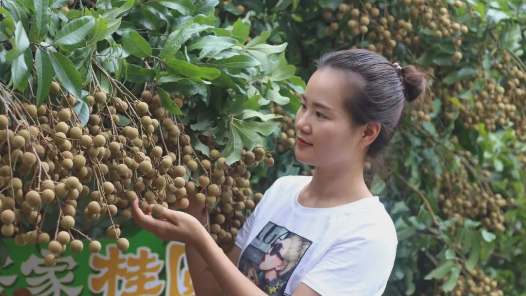 从退役女兵到企业老总，再到村*党**总支部书记，她如何开始新的征程？