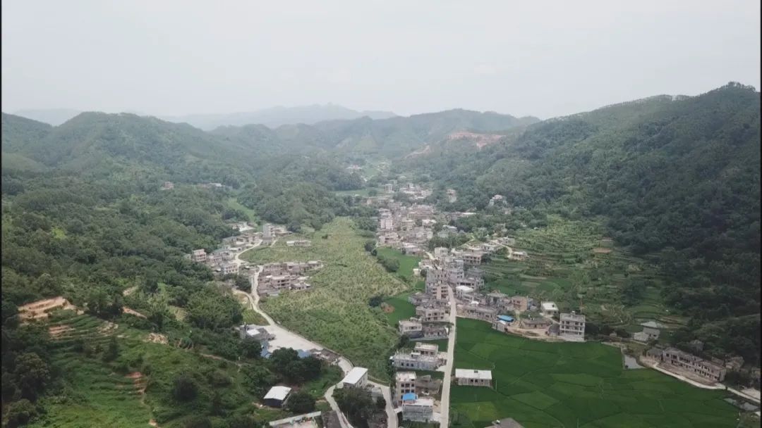 从退役女兵到企业老总，再到村*党**总支部书记，她如何开始新的征程？