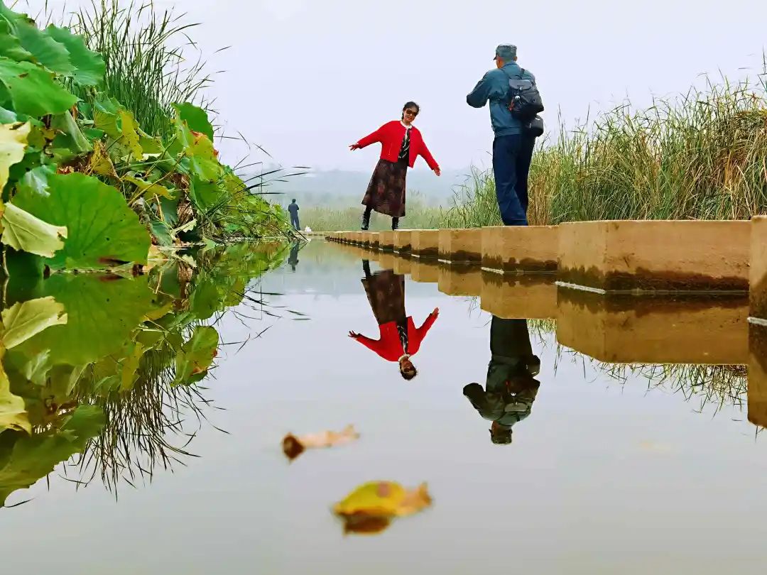 秋光如画，让我们一起“点亮”阎良的诗意秋凉~