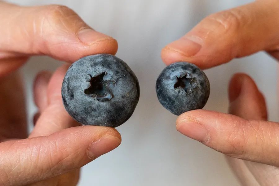 开XXXL号卖场，盒马X会员店打得过山姆、Costco吗？