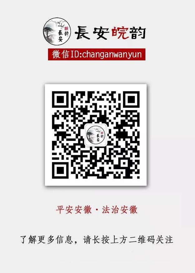 打击安徽村霸恶势力,安徽霍邱村霸落网记