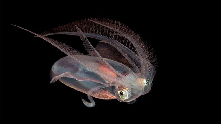 EVENT|可持续时尚未来要如何告捷“破圈”？