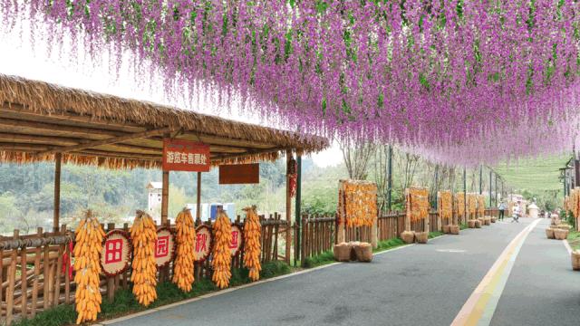 成都双流晚上合适拍照打卡的地方,成都周末打卡推荐双流