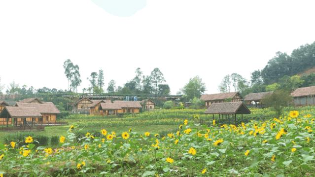 成都双流晚上合适拍照打卡的地方,成都周末打卡推荐双流