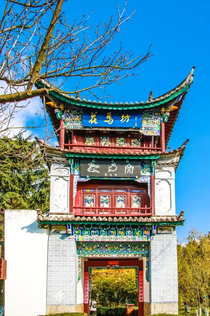 昆明春城秀图片,昆明正宗春城秀