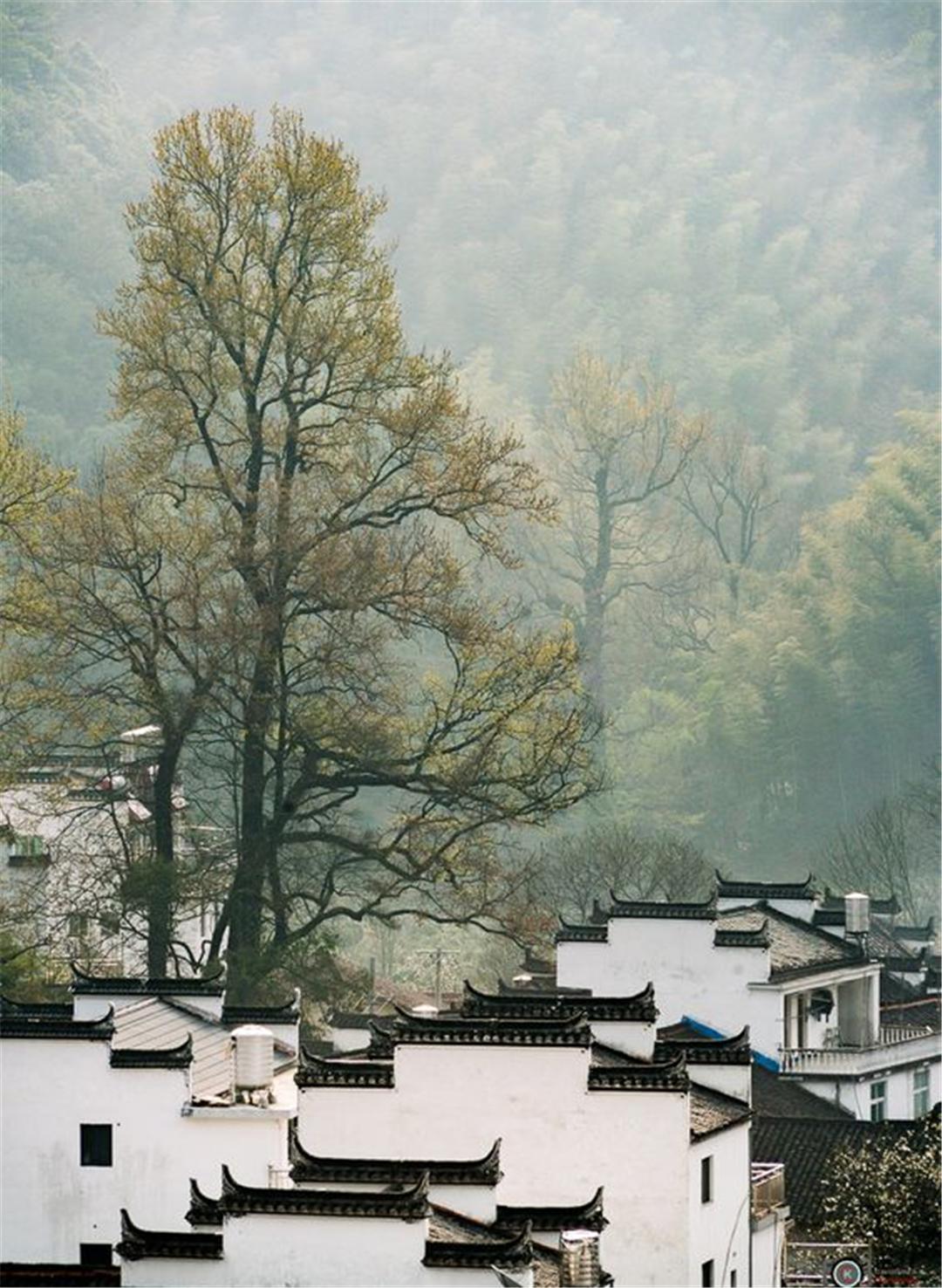鼎图设计,鼎设计图片大全
