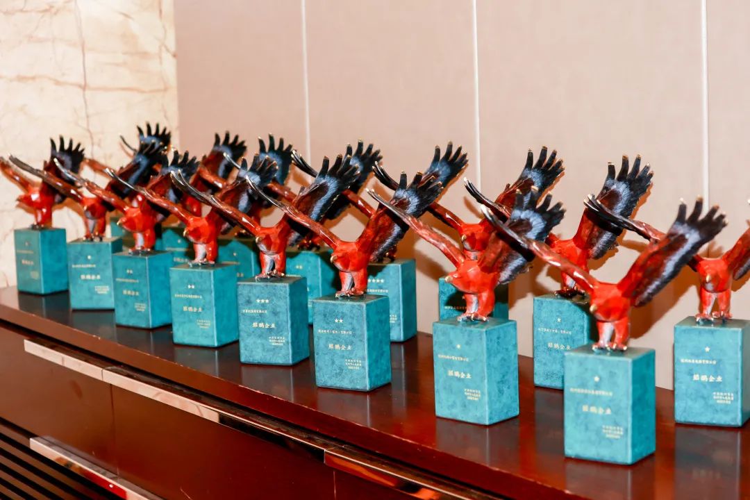 官方认定，最新版“功勋杭商”归这7位