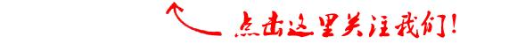 狗不咬铁蛋视频,狗不咬女婿是真的吗