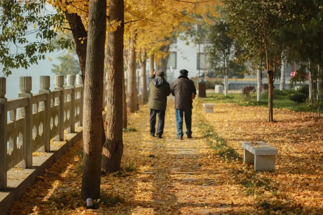 定远九九重阳敬老爱老晚会,九九重阳个人爱老敬老演讲稿