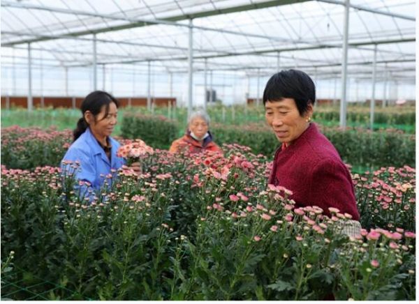 宿迁农业产业特色发展,宿迁农业产业发展规划