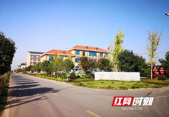 走进乡村治理示范村,后进村蝶变入选全国治理示范村