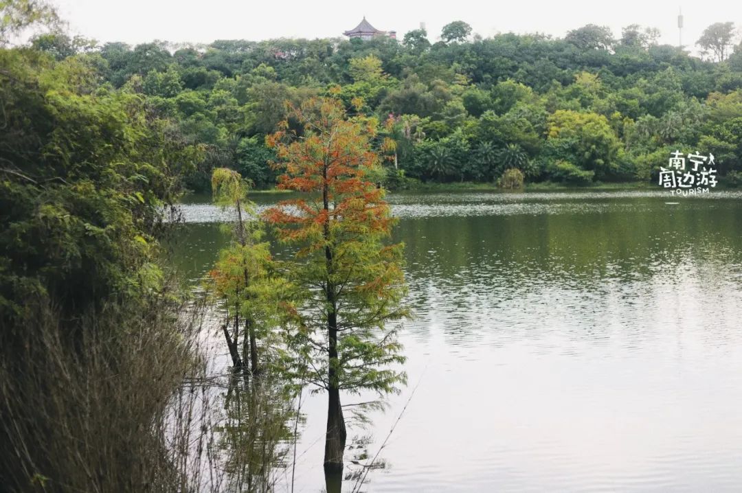 南宁合适一日游攻略,南宁免费玩的地方
