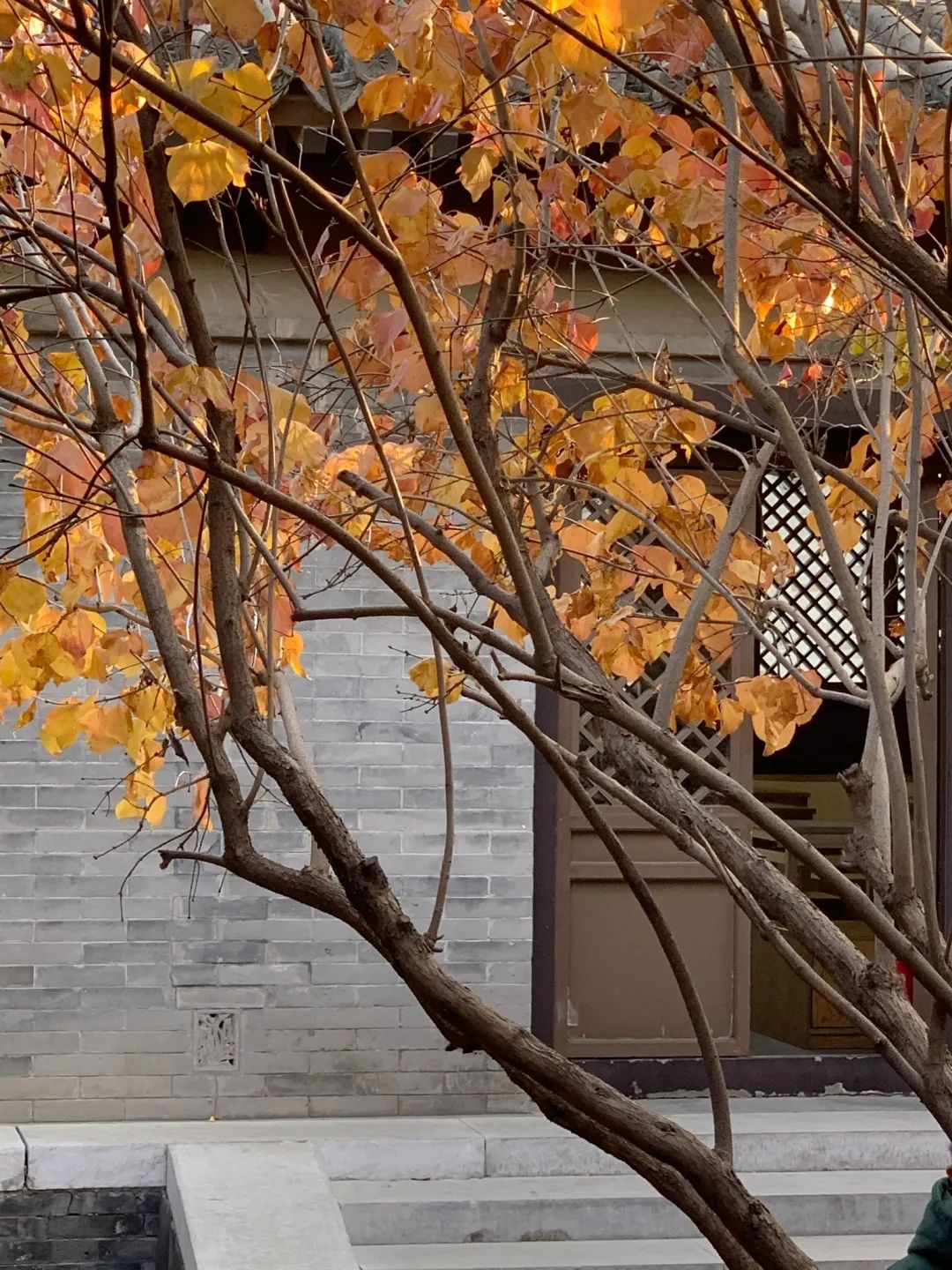 北京浪漫又好看的风景餐厅,北京合适夏天去的餐厅