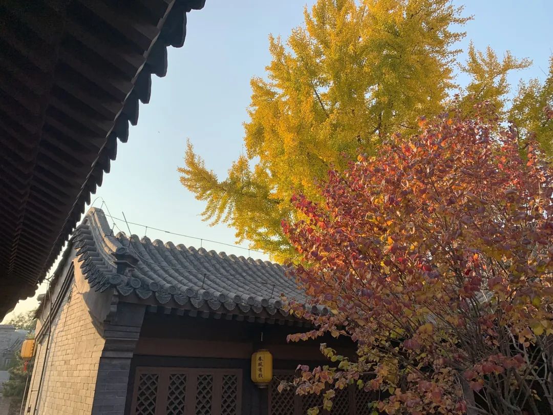 北京浪漫又好看的风景餐厅,北京合适夏天去的餐厅