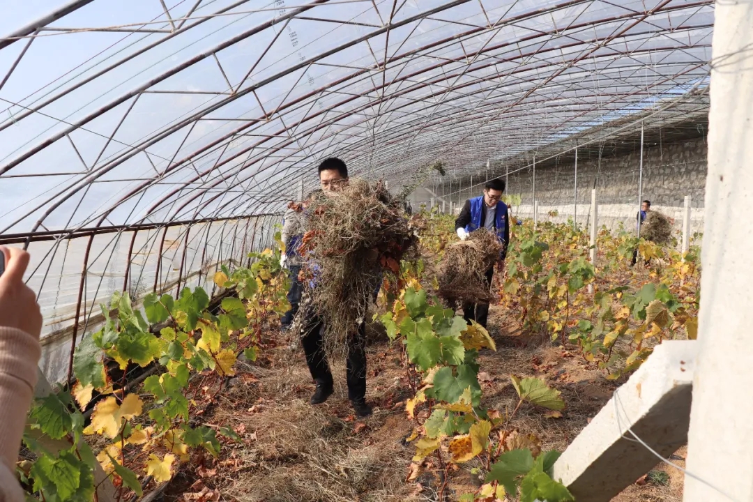 乡村振兴中的文化力量,陪伴式帮扶乡村振兴