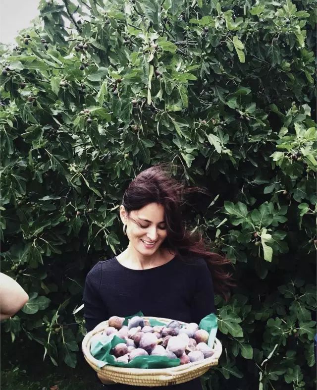 养十几只狗狗博主,网红养小土狗日常